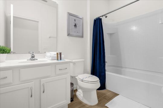 Property image 58